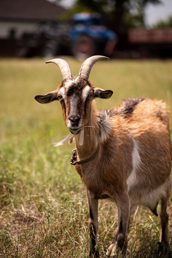 Фотография автора Андрей Шувалов