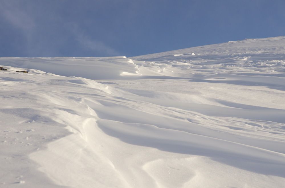 Фотография автора Медведев Сергей