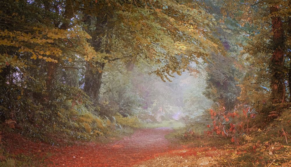 Photograph by Nathalie Le Corff