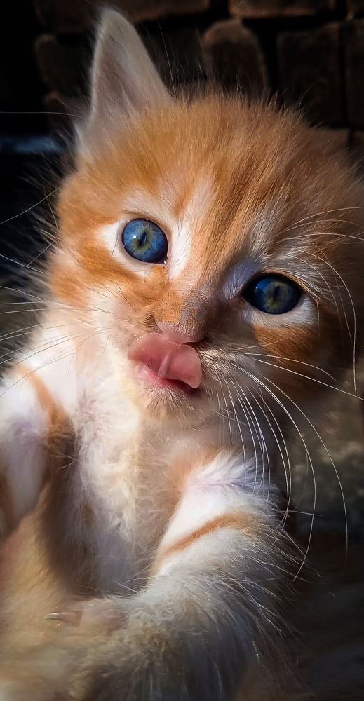 Photograph by Ayana Rahman