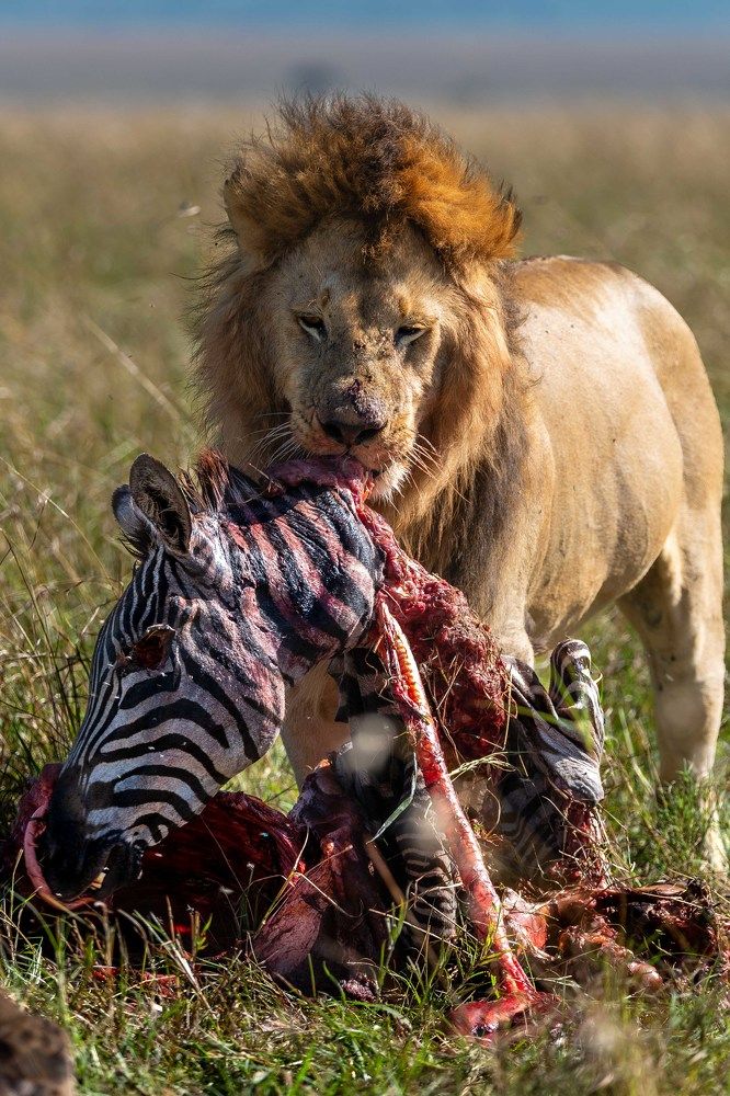 Photograph by Zubair Irshad