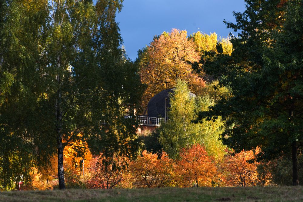 Photograph by Владимир Безбородов