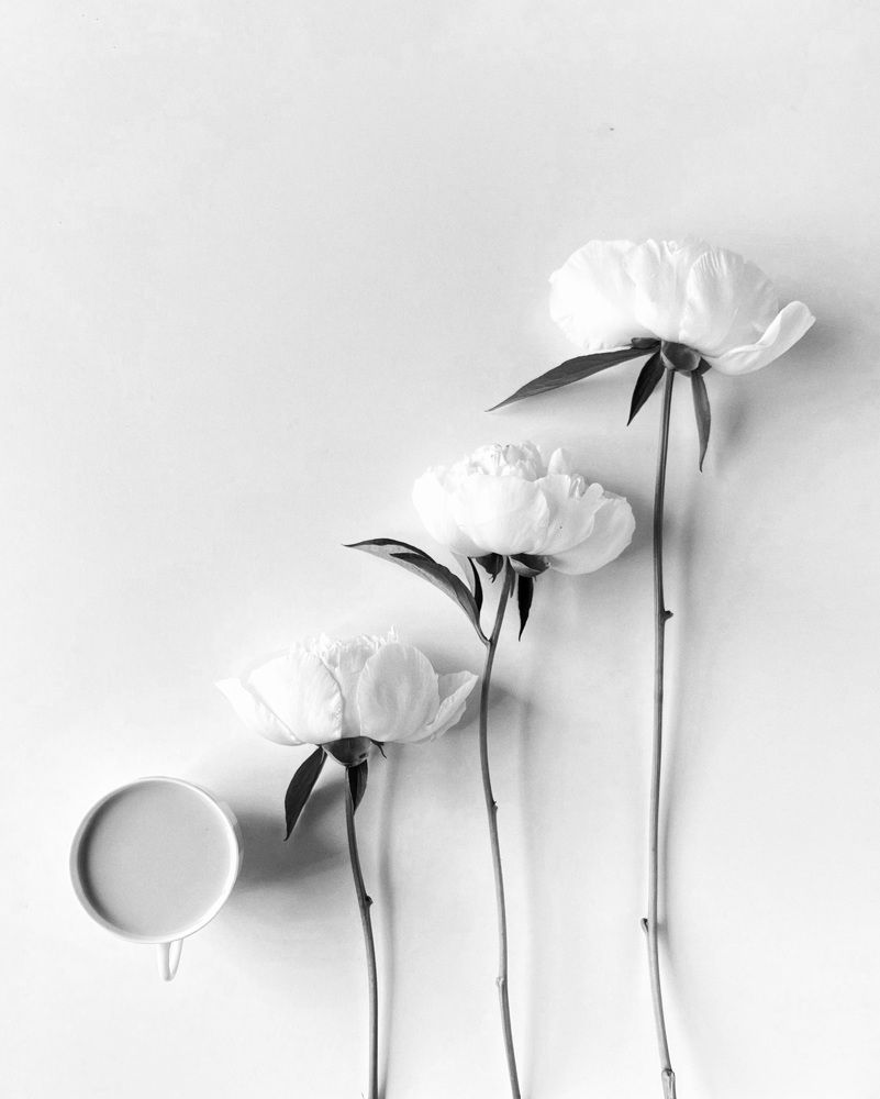 Photograph by Алла Творогова