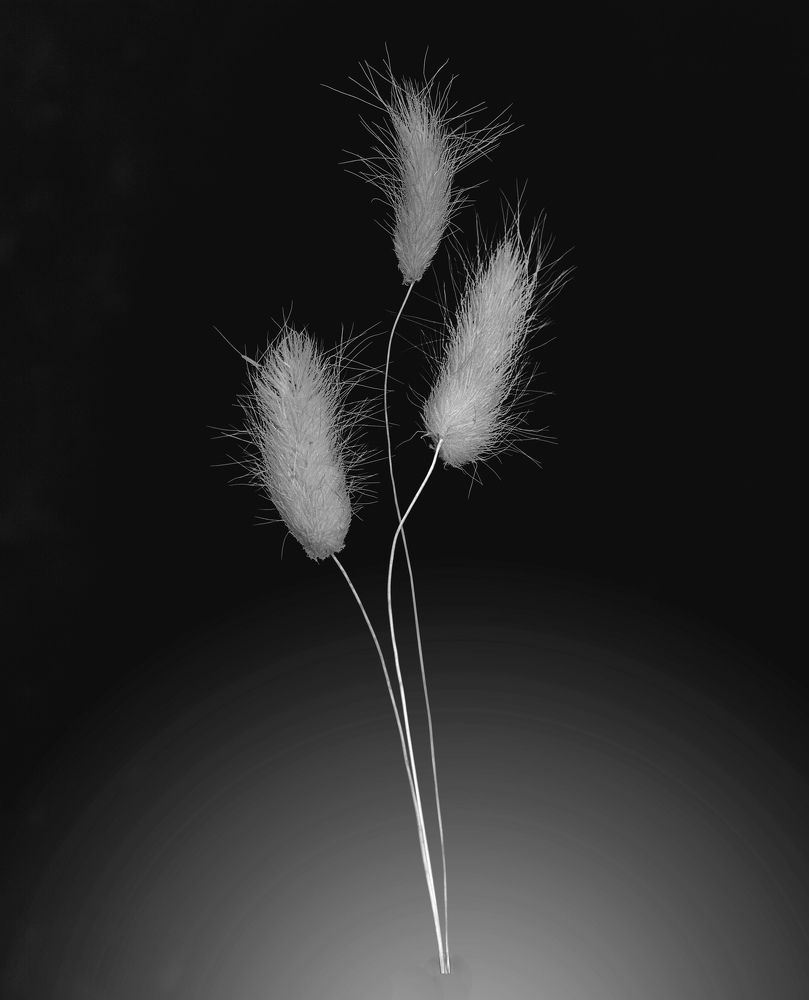 Photograph by Aleksandr Belov