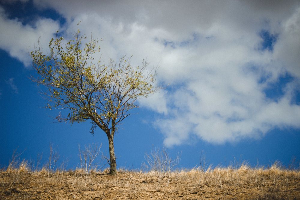 Photograph by Антон Кремер