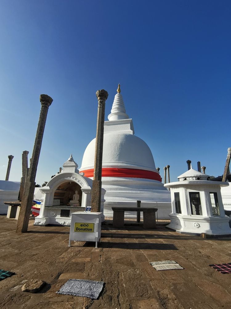 Фотография автора Rajitha Fernando