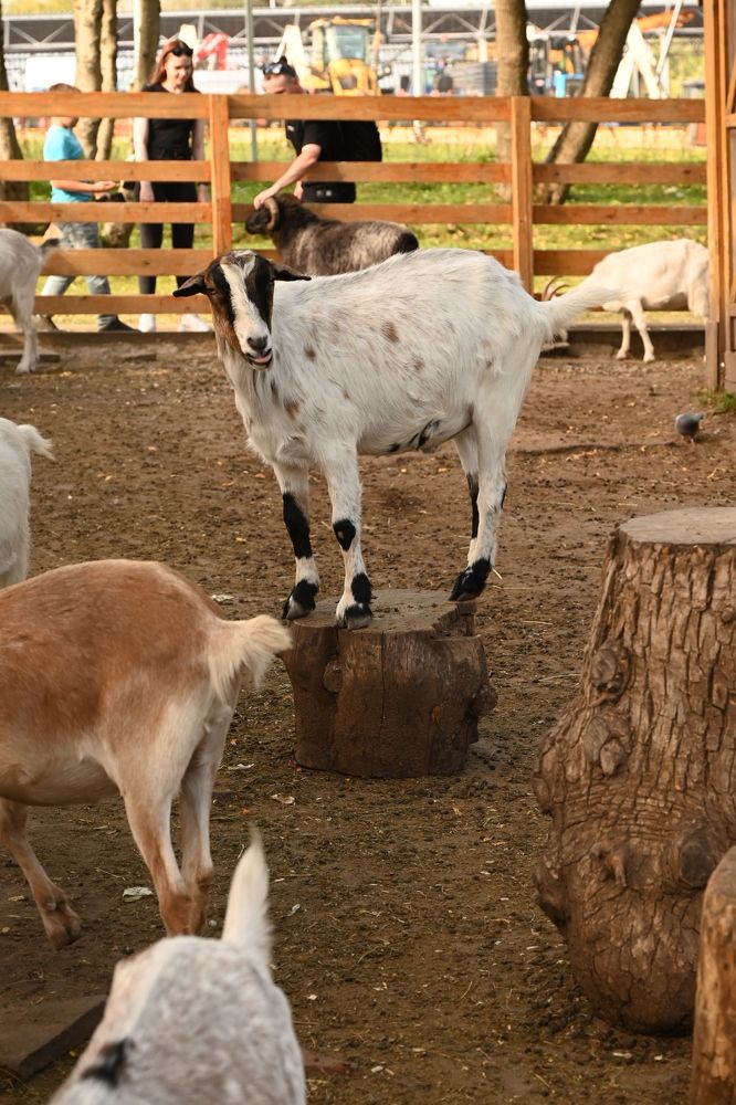 Photograph by Светлана Рубникович