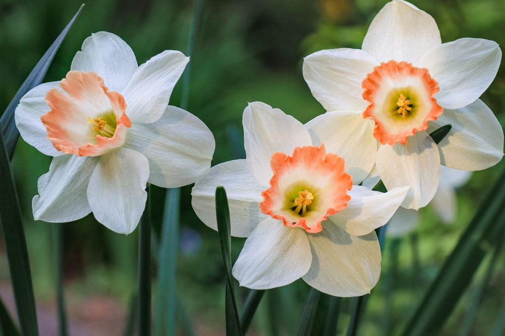 Photograph by Lyudmila Klimanova