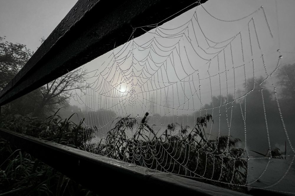 Photograph by Дмитрий Костяков