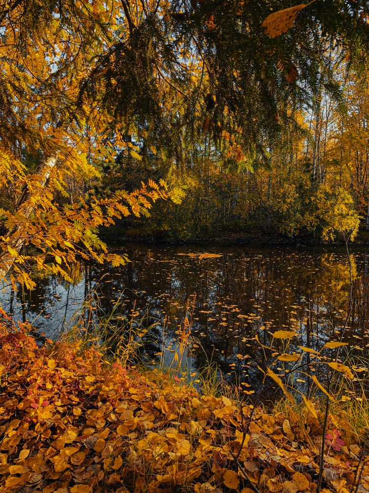 Photograph by Мария Василенко