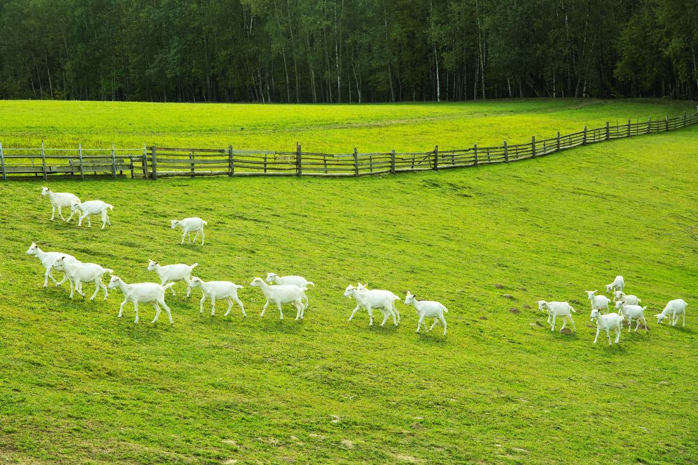 Фотография автора Алена