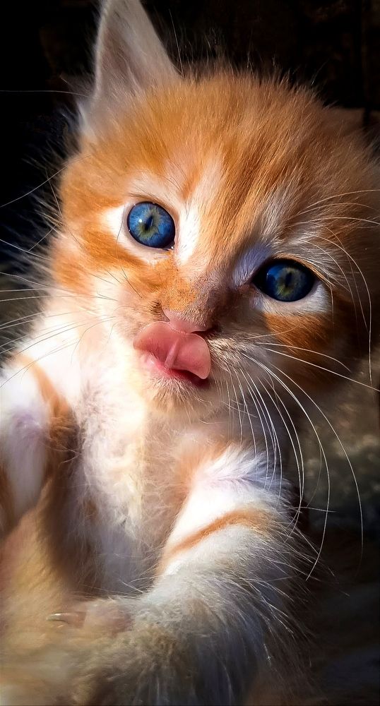 Photograph by Ayana Rahman