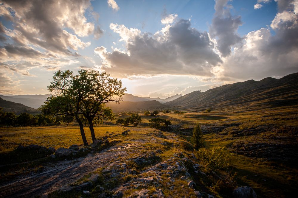 Photograph by Дарья Молчанова