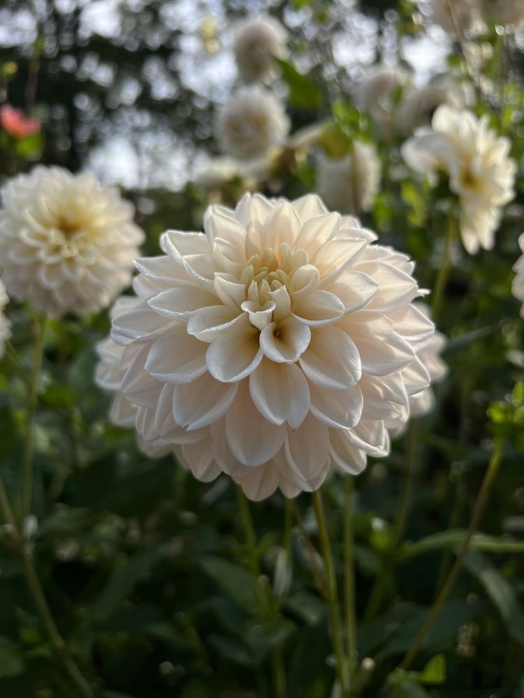 Photograph by Анастасия Куэлляр