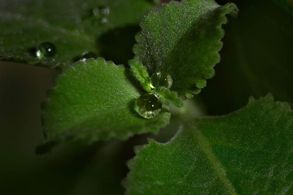 Photograph by Руслана Валеева