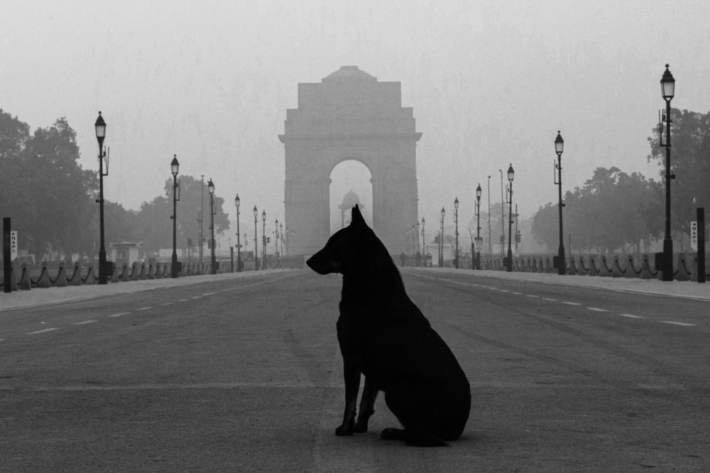 Фотография автора sachin gaurav