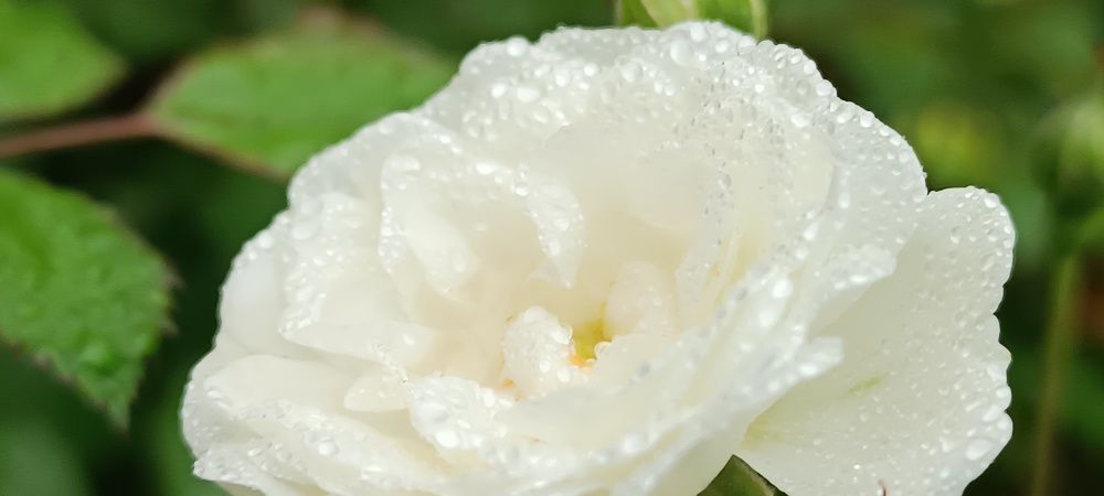 Photograph by Надежда Кнак