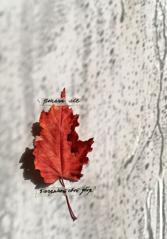 Photograph by Светлана Шелухеева