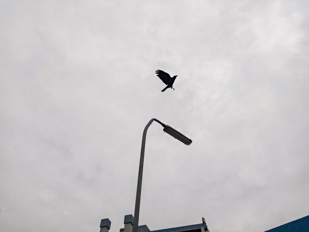 Photograph by Muiambo Gideon