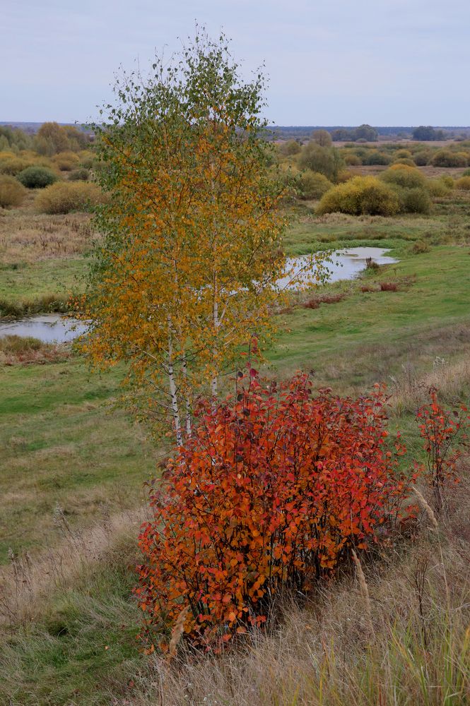 Фотография автора Николай Семенец