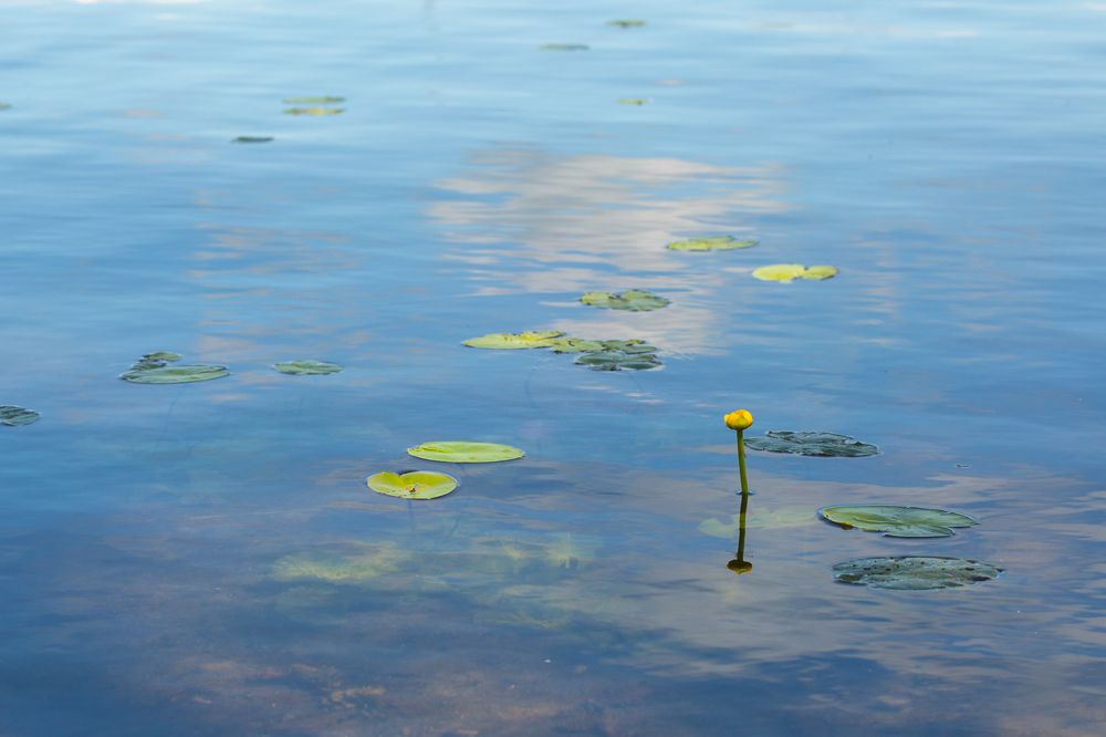 Photograph by Julia Celminska