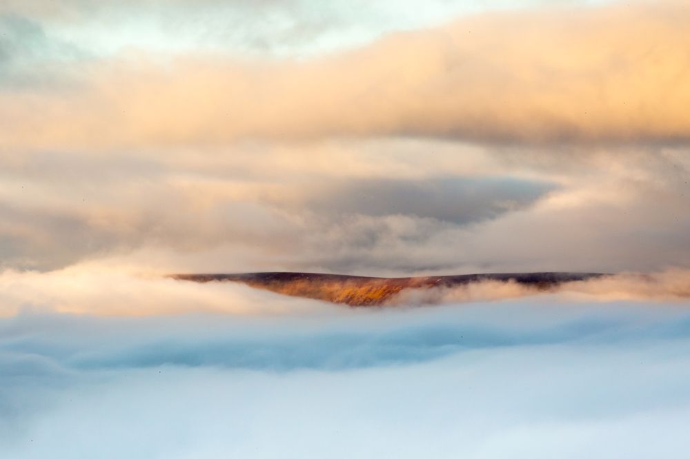 Photograph by Julia Celminska