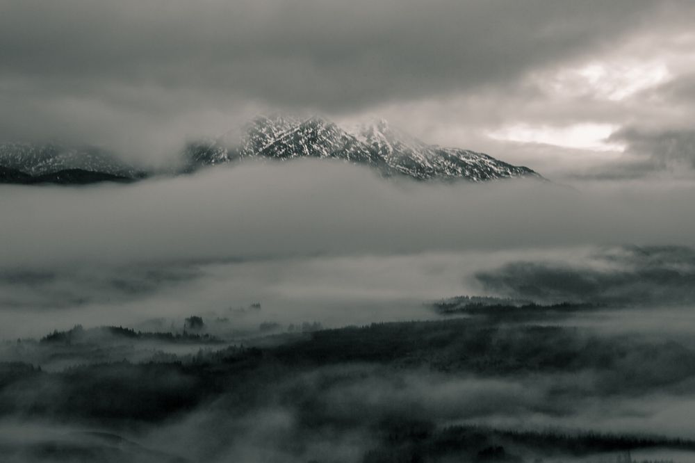 Photograph by Julia Celminska