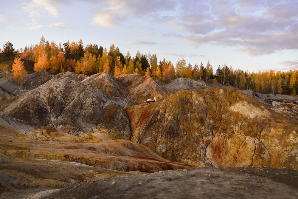 Фотография автора Келлер Ольга
