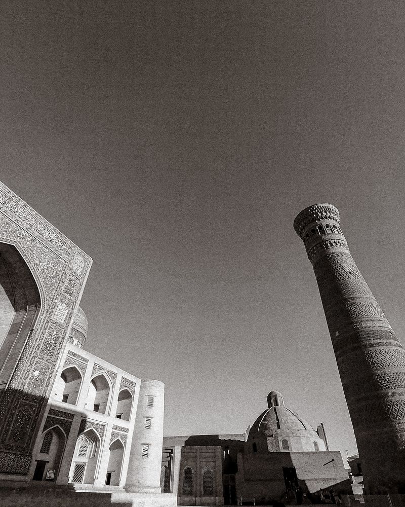 Photo #9620014