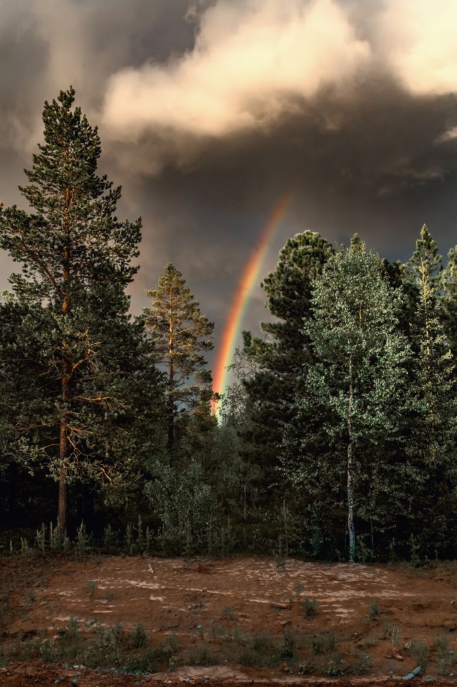 Photograph by Александр Слепцов