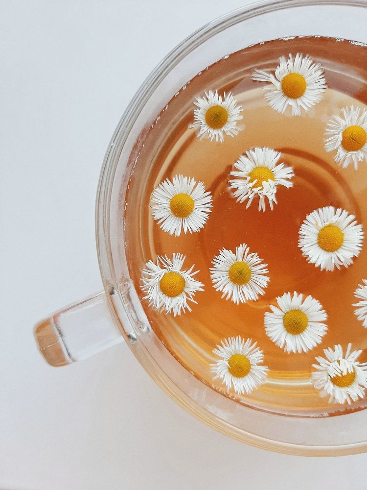 Фотография автора Виктория Мешкова