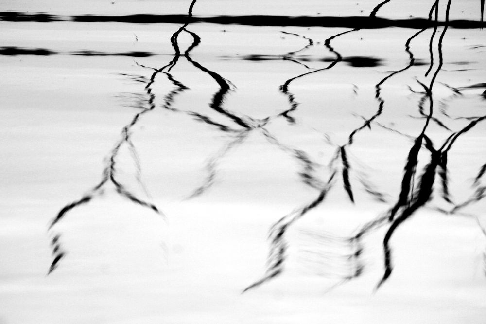 Фотография автора Анастасия Зверева