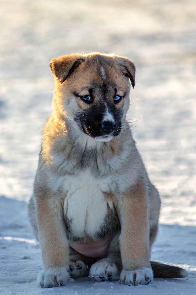 Photograph by Александр Слепцов