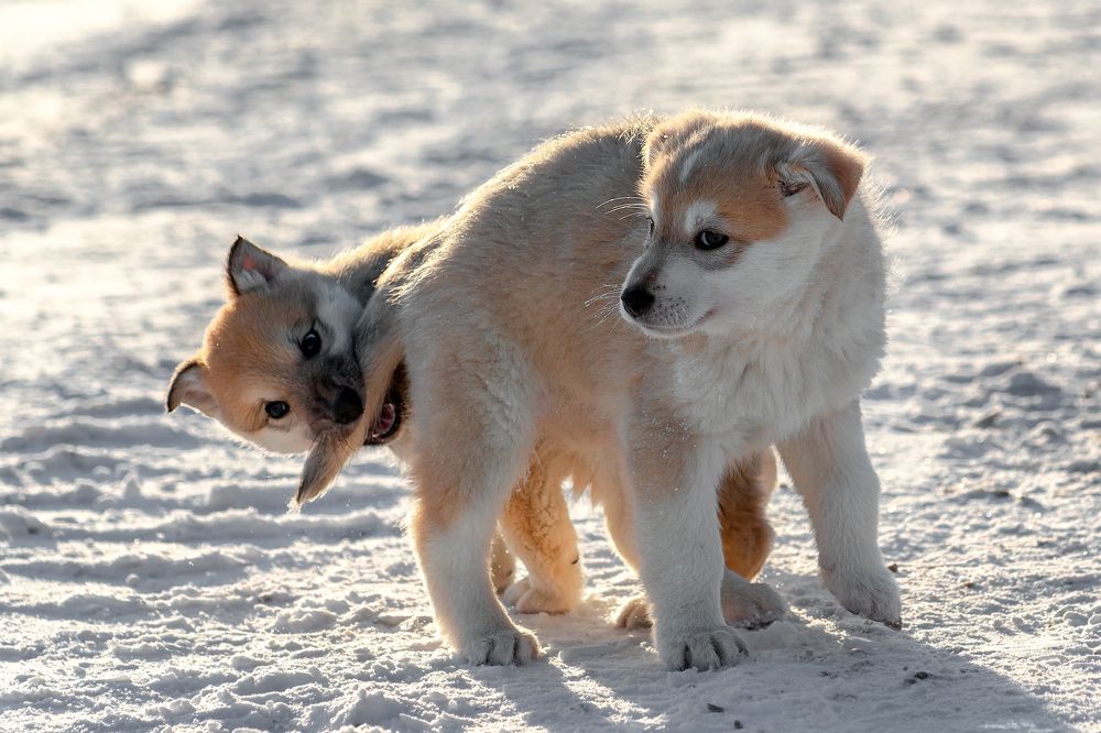 Photograph by Александр Слепцов