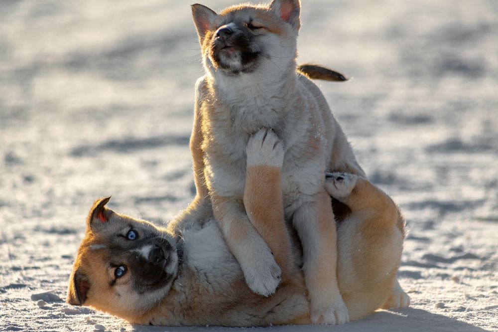 Photograph by Александр Слепцов