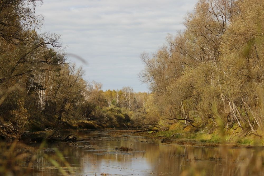 Photograph by Абрам Петерс