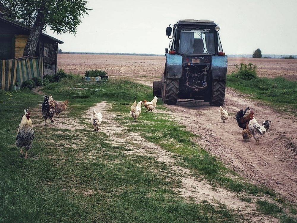 Фотография автора Ольга Сорокина