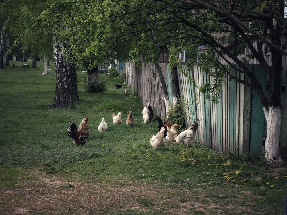 Фотография автора Ольга Сорокина