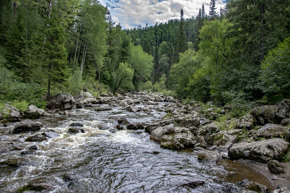 Фотография автора Анатолий Мацеля