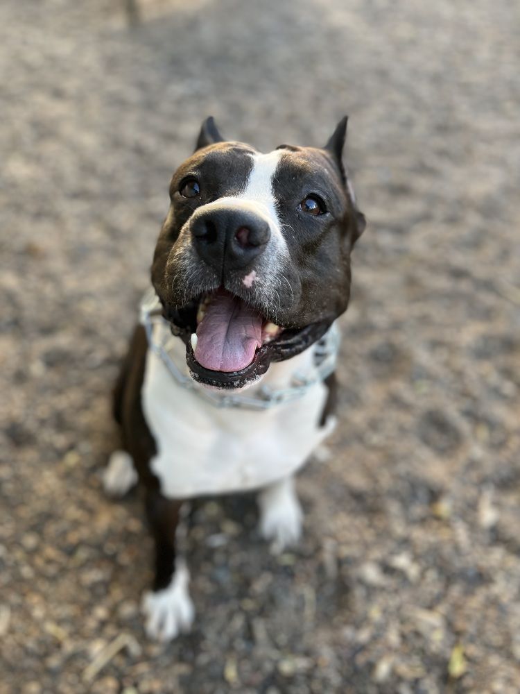 Photograph by Наталья Романова