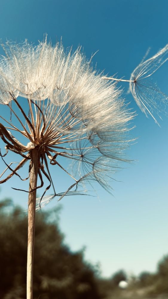 Photograph by Елена Гущина