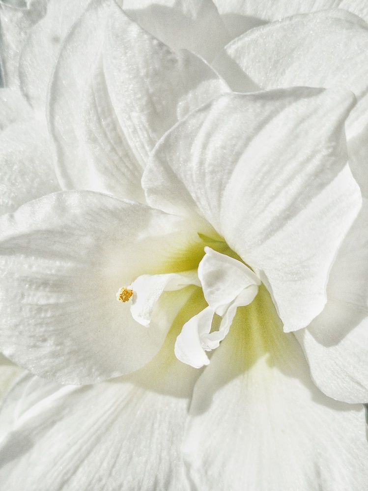 Photograph by Yulia Bilato