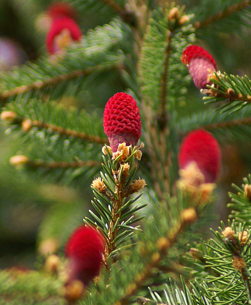 Photograph by Вячеслав Швецов