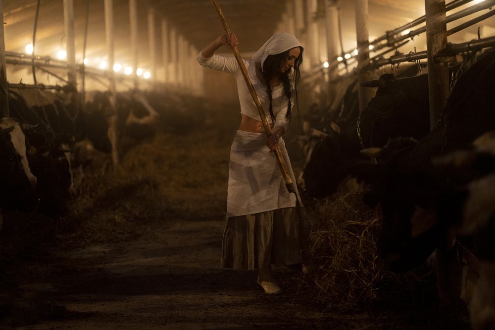 Photograph by Дмитрий Горбушин