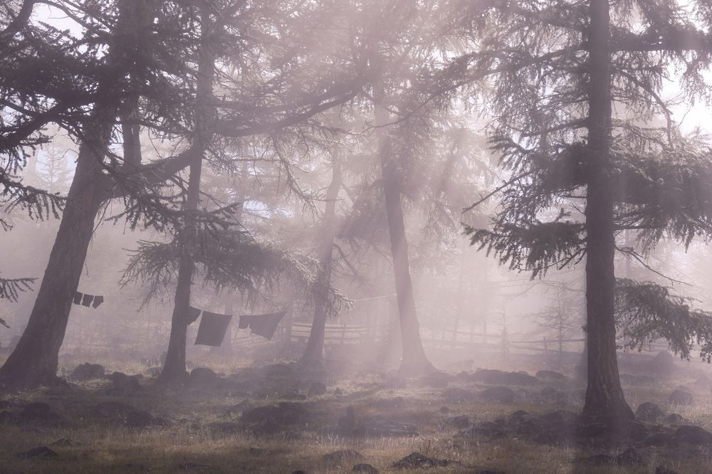 Photograph by Анна Нечаева