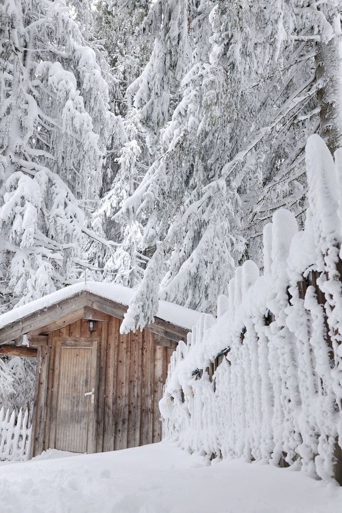 Photograph by Tatiana Serova