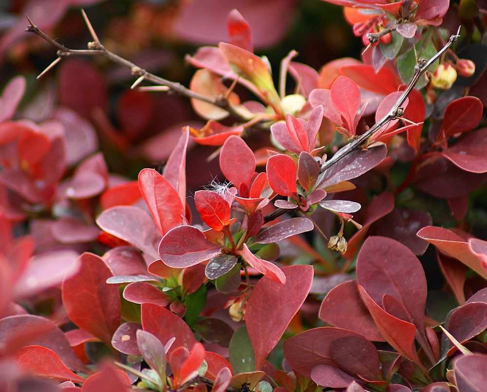 Photograph by Вячеслав Швецов