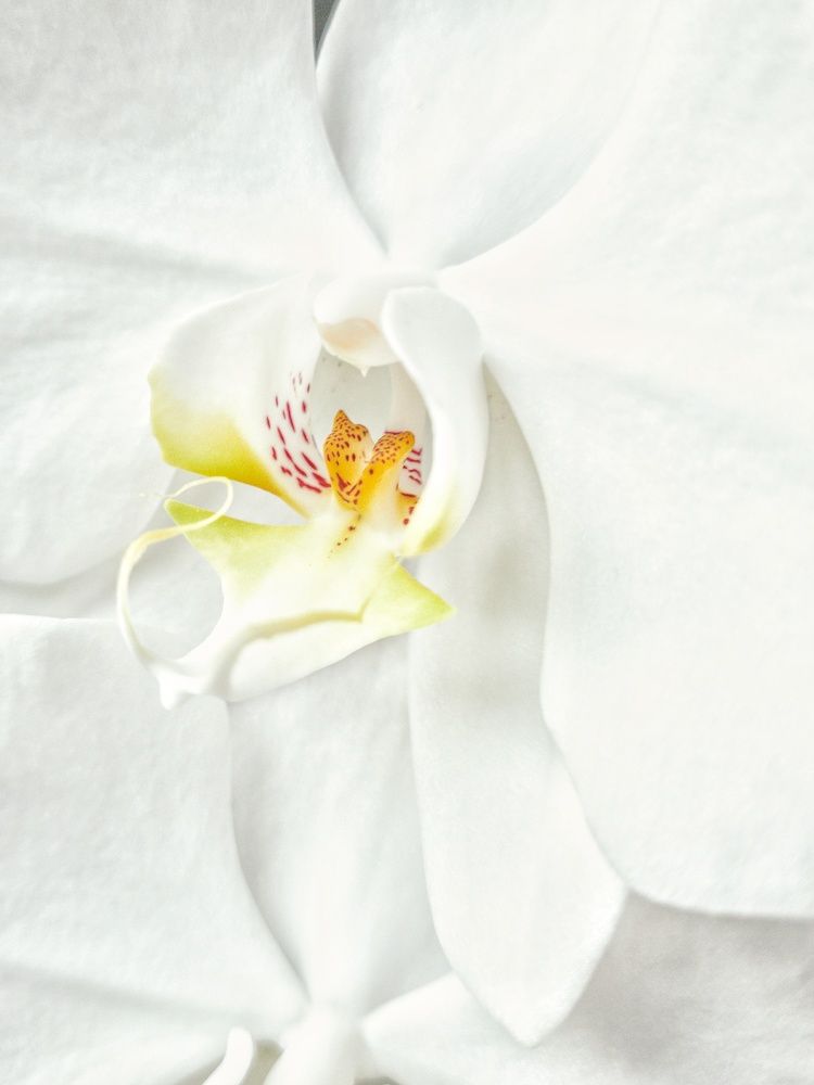 Photograph by Yulia Bilato