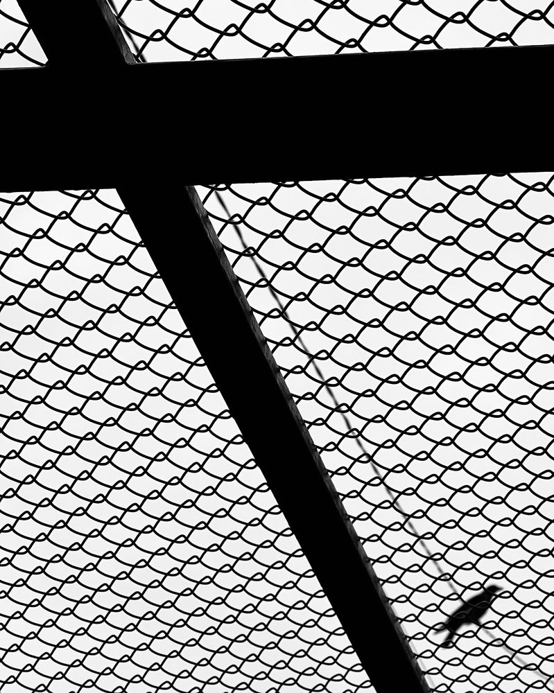 Photograph by Андрей Казаков