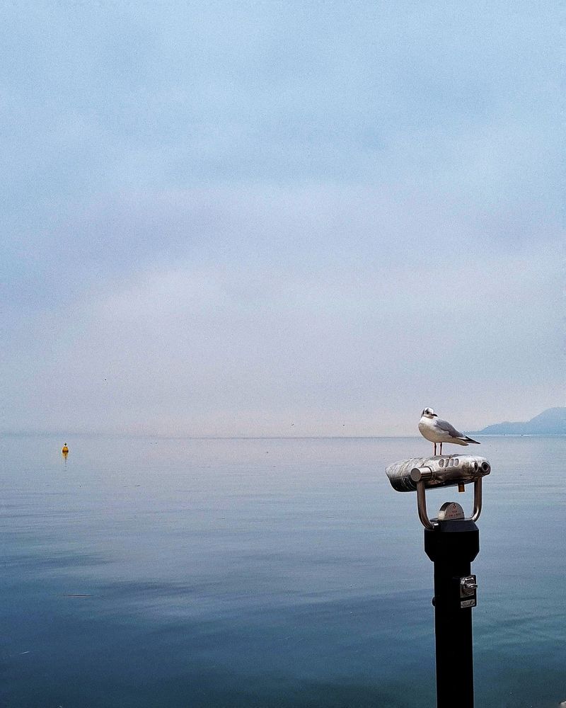 Photograph by Yulia Bilato